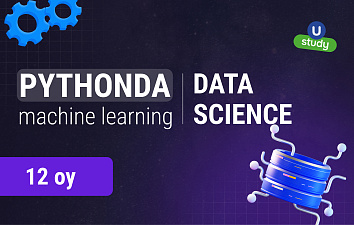 Professional Machine Learning Engineer
